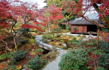 Autumn scenery of a footpath winding on the grassy ground under fiery maple trees in a forest of Shugaku-in Imperial Villa (Shugakuin Rikyu), a royal garden famous for its fall colors, in Kyoto, Japan