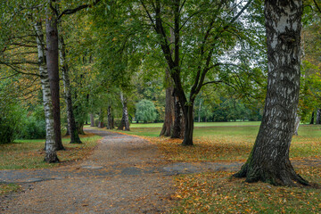 Stromovka park with trees forest and pond Bagr in autumn morning