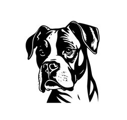 Boxer breed dog black and white portrait on a transparent background. PNG