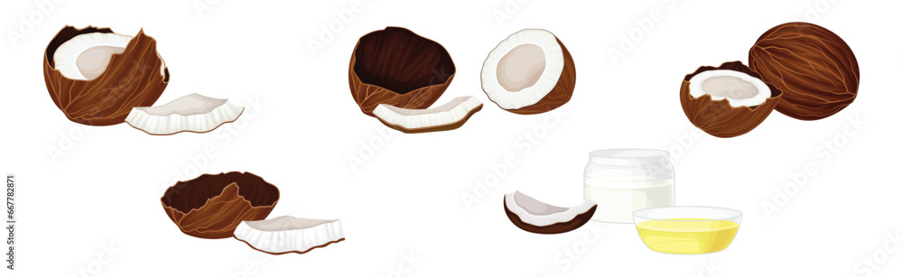 Poster whole and cracked coconut with hard shell and fibrous husk vector set