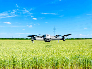 Drone hovering above wheat field, concept of using Drones in agriculture