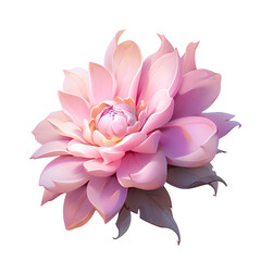 2D Pink Beautiful Flower shiny glossy