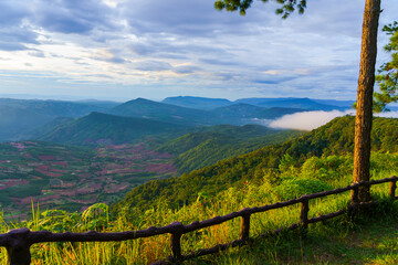 Morning sky Mountain range and fog A beautiful view at Phu Ruea National Park in Loei Province,...