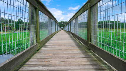 Long Perspective View of Wooden Foot Bridge