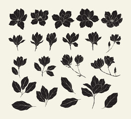 Set of flat vector magnolia flowers  © Maria