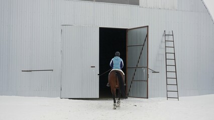 Girl rider on a black horse in winter. Indoor hangar for training horses. A young woman rides a horse in a covered hangar. - obrazy, fototapety, plakaty