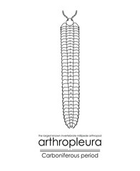 Arthropleura, the largest-known invertebrate, extinct creature from the Carboniferous Period, millipede arthropod, black and white line art illustration. Ideal for coloring and educational purposes