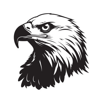 Eagle Head Vector Image, Icon and Graphics