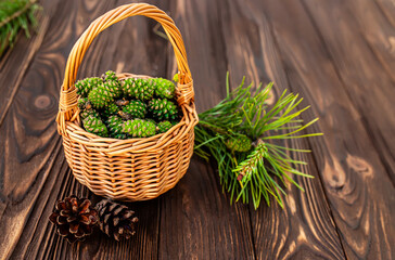 first step to healing jam: hand-picked green pine cones