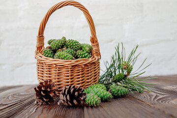 Nature's pharmacy: a basket of pine cones for medicinal preserves