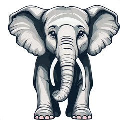 Cute elephant