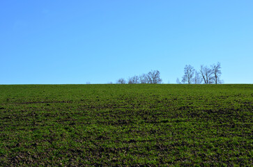 Fototapeta na wymiar plowed agricultural field with green grass and blue sky copy space 