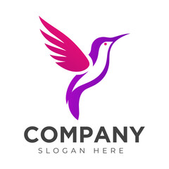 Vector Flying Hummingbird logo design with gradient colorful Style