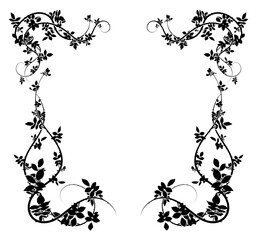 the indescribable beauty of the climbing rose hips