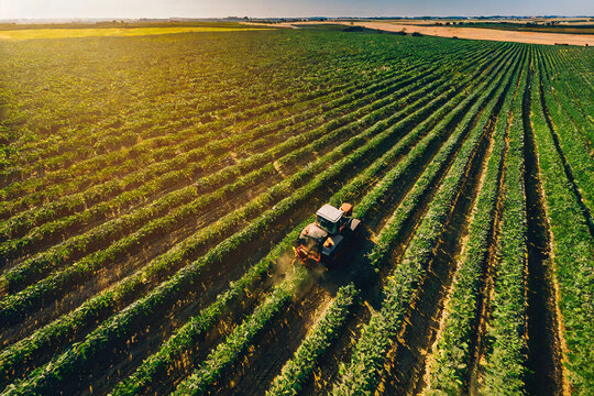 Agroneg&oacute;cio, planta&ccedil;&atilde;o, trator fazendo colheita de cana