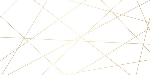 Luxury premium golden random chaotic wave lines abstract background. Vector, illustration	
