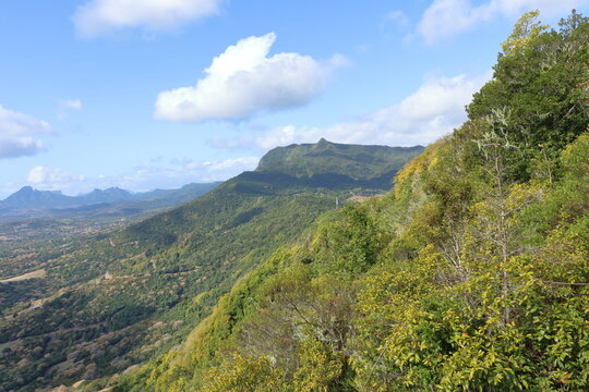 Green hills covered with dense exotic vegetation in Mauritius