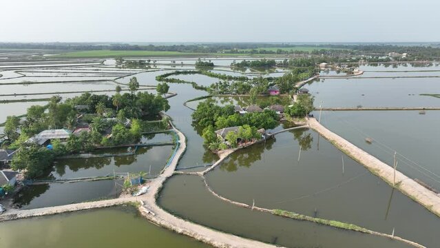 Aerial drone shot of fertile organized agricultural field with different types of plants and watering method focusing on the river that flowing through showing also fish and shrimp, prawn farming.4k