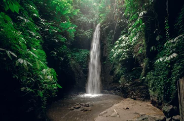 Fotobehang Beautiful waterfall in tropical rainforest in Bali, Indonesia © Olena Zn