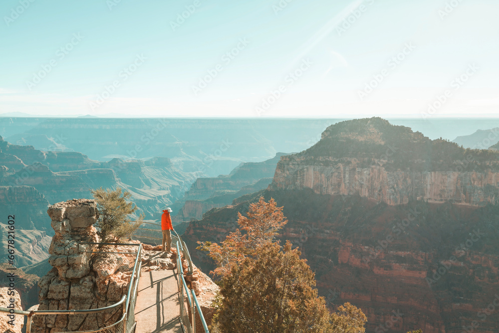 Wall mural hike in grand canyon