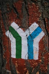 Znak rozwidlających się szlaków turystycznych. © Grzegorz