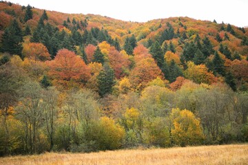 Jesienny pejzaż w Beskidzie Niskim