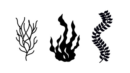 seaweed, black isolated silhouettes set