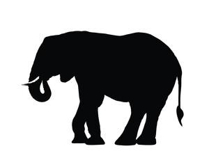 Elephant Silhouette. Elephant Vector Illustration.