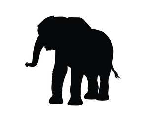 Elephant Silhouette. Elephant Vector Illustration.