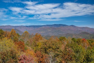 Fototapeta premium autumn river