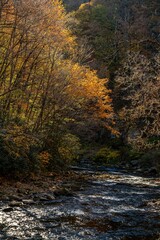 nantahala lake