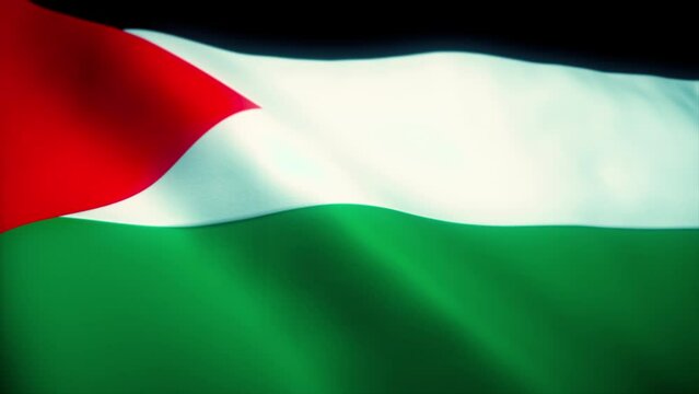 Flag of Palestine waving in a loop mode. Perfect footage for any background or led-wall. 4K Apple ProRes 4444, 16-bit. 