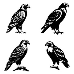 eagle svg, eagle png, eagle silhouette, eagle illustration, bird, animal, eagle, black, vector, illustration, nature, wildlife, silhouette, wings, feather, wild, raven, flying, wing, white, fly, crow,