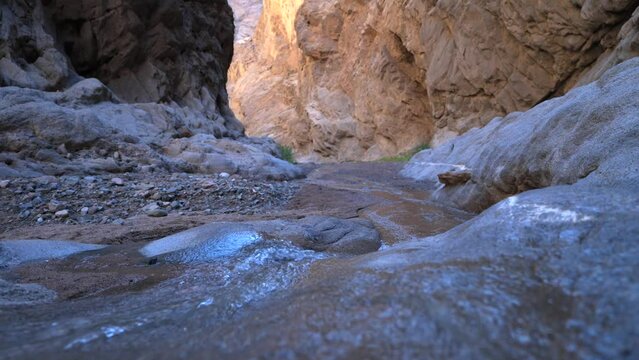 LEYJA neom Saudi Arabia