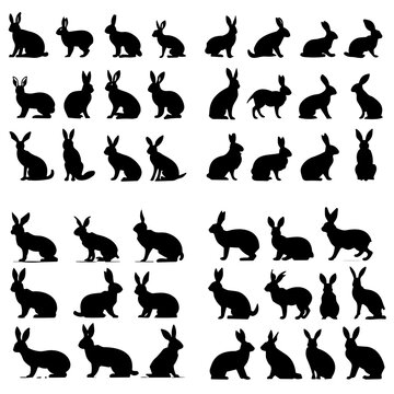 rabbit silhouette, rabbit svg, rabbit png, squirrel svg, silhouette, cat, vector, animal, illustration, set, pet, black, rabbit, dog, cartoon, icon, animals, collection, kitten, design,