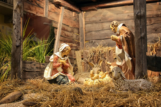 Nativity scene under christmas tree