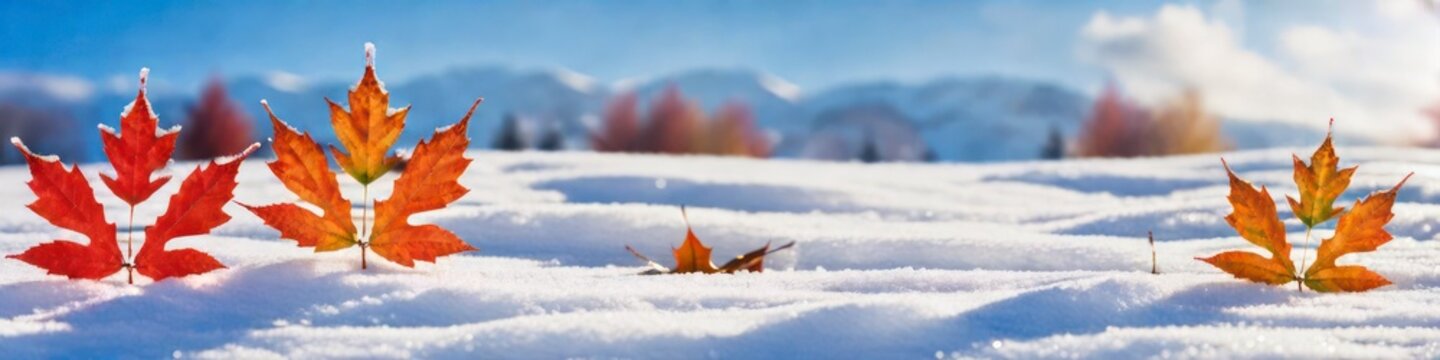 Horizontal banner closeup of winter snow, background for your design