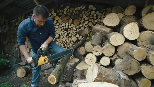 A guy cuts trees with a chainsaw for firewood. Hard work harvesting firewood on a farm in the village. High quality 4k footage