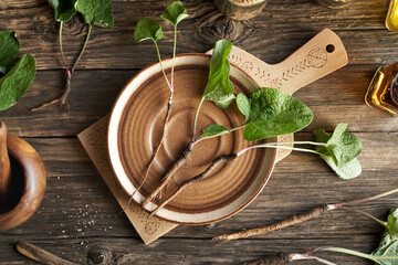 Fresh burdock root with leaves on a table - obrazy, fototapety, plakaty
