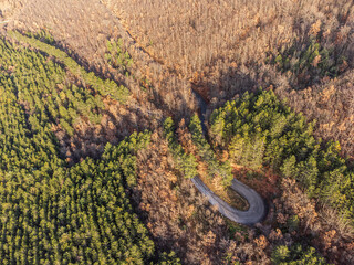 Top-down view of an hairpin bend in the middle of a forest with green and orange trees - 667875254
