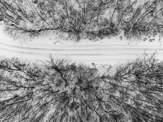 Top view of a winter forest. with a road in the middle of trees - 667875668