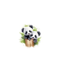 Panda Cute Animals