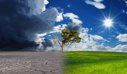 Landscape of meadow field with the changing environment concept of climate change. Climate change...