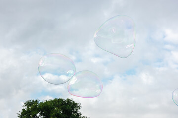 Big soap bubbles fly through the air in front of a blue sky