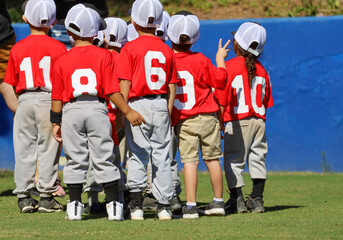 View of a little league Tee ball team gathered together after a game. 3-4 year old children at a baseball park. - Powered by Adobe