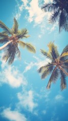Coconut palm trees on blue sky background. Vintage toned
