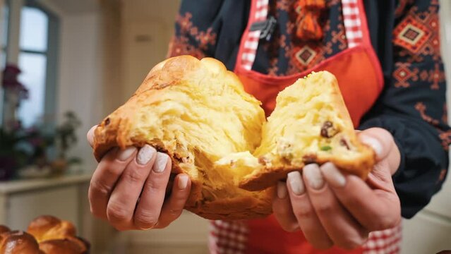 The hostess, the baker tears the Easter bread with raisins and candied fruit into two parts with his hands, which is fresh from the oven. Beautiful Easter bread. Preparation of a beautiful paska