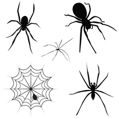 Spider vector, Vector Image of Spider ,black and white color theme