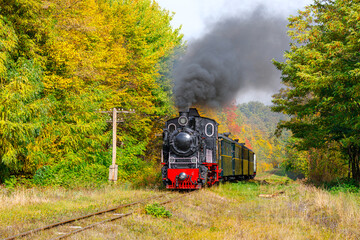 Narrow-gauge locomotive with passenger train travels to the station through the autumn forest. Sunny weather. Tourist attraction.