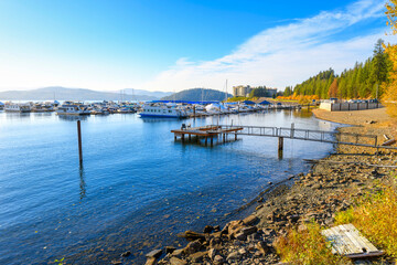 Fototapeta premium The Silver Beach marina with Tubbs Hill and upscale condominiums in view behind with fall colors on the trees at Lake Coeur d'Alene, Idaho.